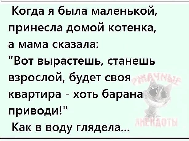 Принесли котенка домой что делать. Хоть барана приводи как в воду глядела. Картинка в свою квартиру хоть барана приведи.