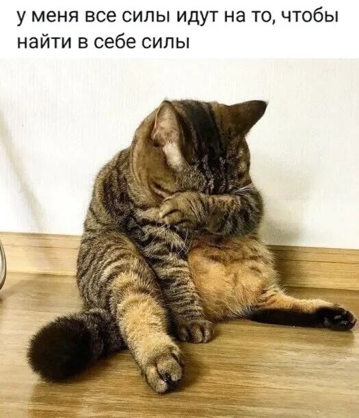 у меня все силы идут на то чтобы найти в себе силы