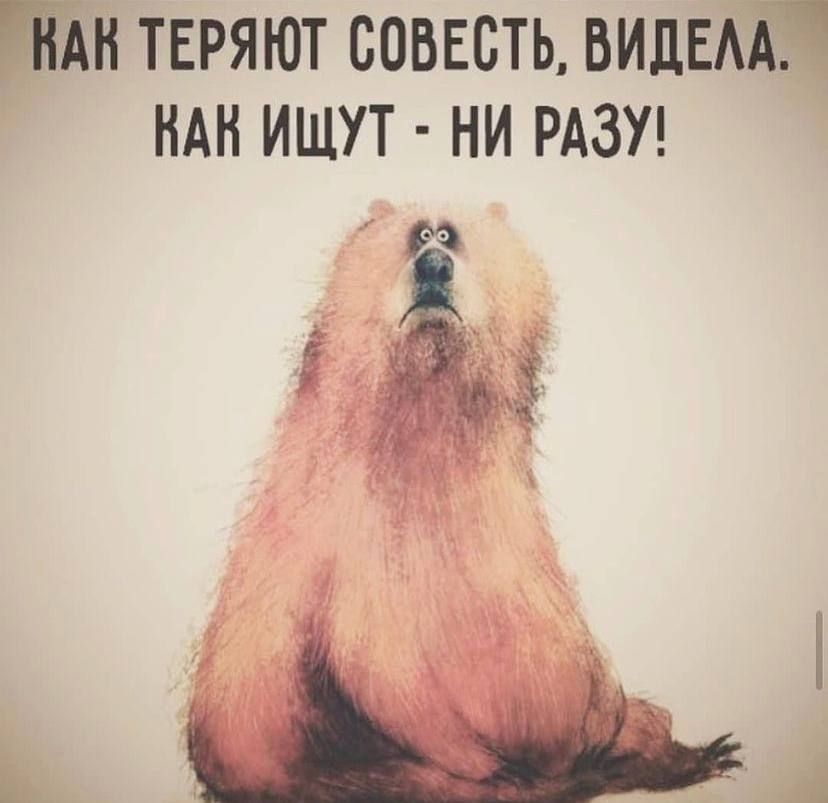 ііАн теряют совесть видЕААТ НАН ищут ни РАЗУ