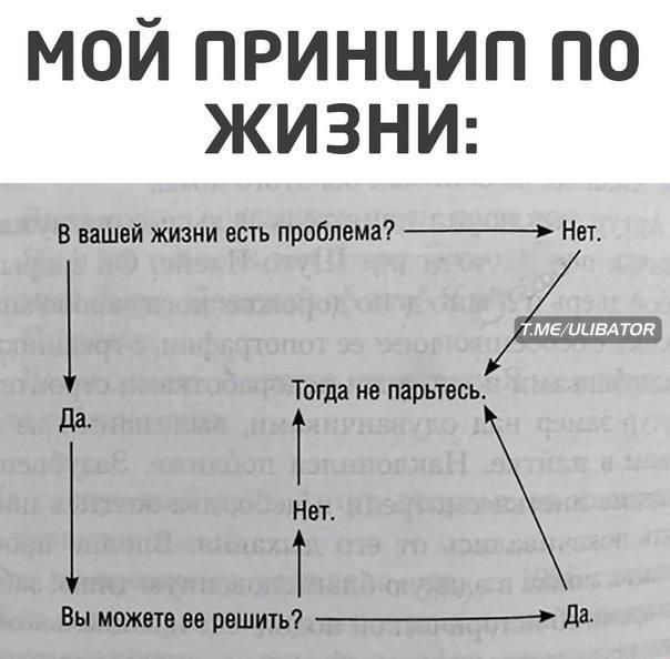 мой принцип по ЖИЗНИ В вашей жизни есть проблема _ Нет 1 Тогда не парьтесь Т 1 г Вы можете ее решть _ да