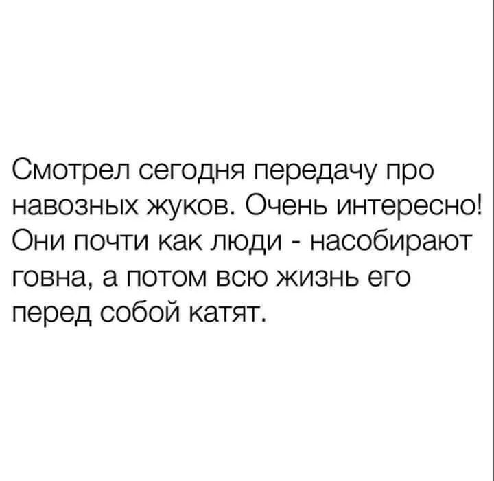 Смотрел сегодня передачу про навозных жуков Очень интересно Они почти как люди насобирают говна а потом всю жизнь его перед собой катят