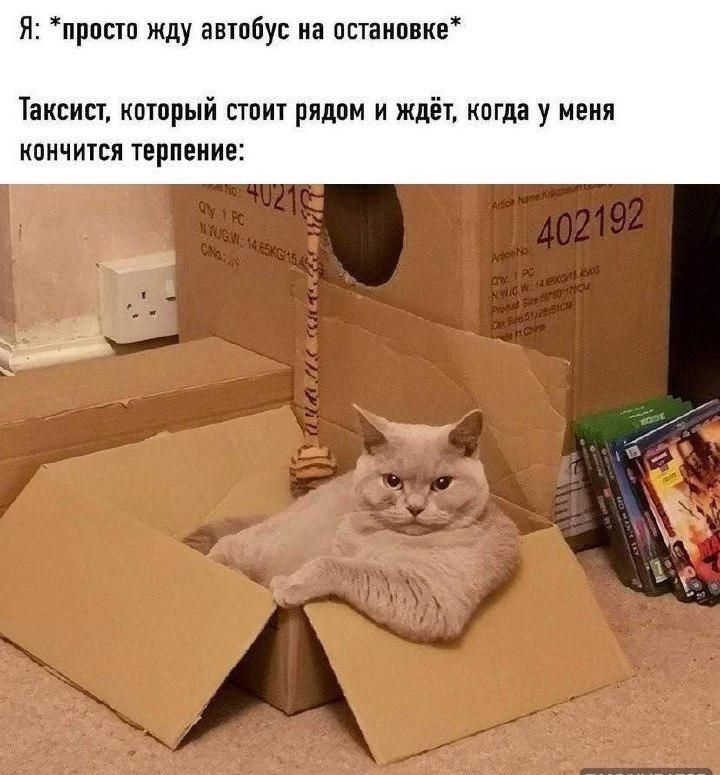 Я прпсто жду автобус на остановке Таксист который стоит рядом и ждёт когда у меня кончится терпение 45
