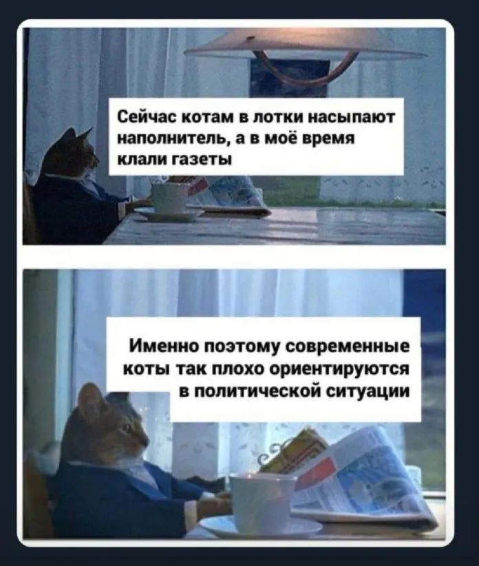 Сейчас КОТЗМ В ПОТКИ насыпают наполнитель В МОЁ время клали газеты а _ Именно поэтому современные коты так плохо ориентируются Т политической ситуации