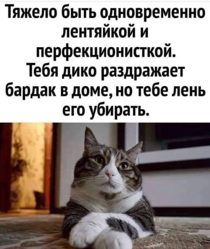 Тяжело быть одновременно лентяйкой и перфекционисткой Тебя дико раздражает бардак в доме но тебе лень его убирать