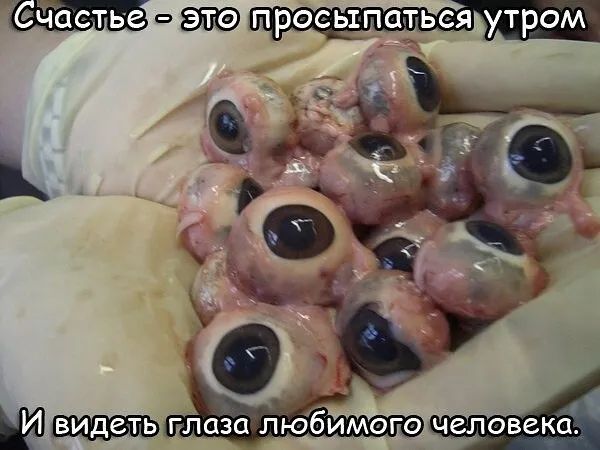 ПРОСЬЩПОГБЬСЯ УТРОМ ГЛОЗО ЛЮбИМОГО человека видепь