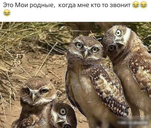 Это Мои родные когда мне кто то звонит