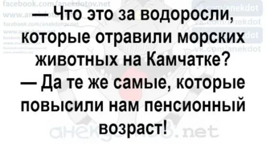 Что это за водоросли которые отравили морских животных на Камчатке да те же самые которые повысили нам пенсионный возраст