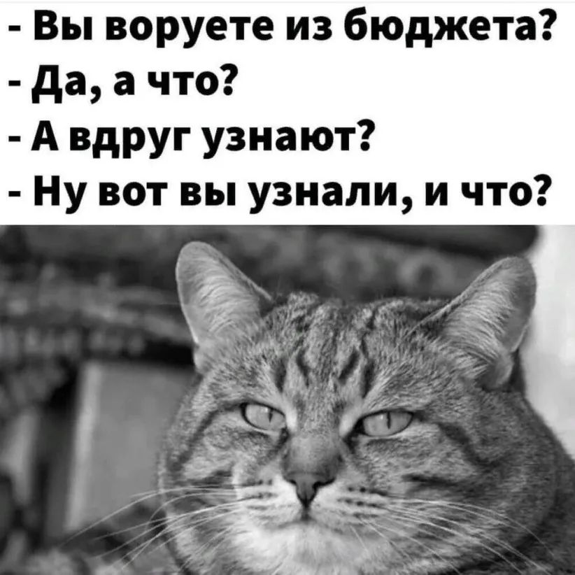 Вы воруете из бюджета да а что А вдруг узнают Ну вот вы узнали и что