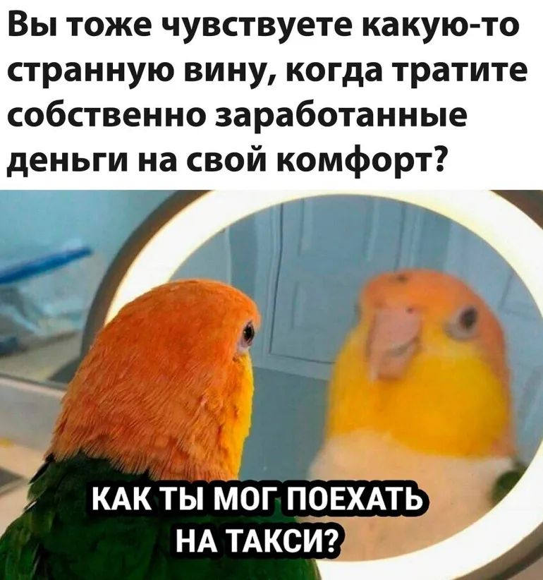Вы тоже чувствуете какую то странную вину когда тратите собственно заработанные деньги на свой комфорт ч КАК ты мог ПОЕХАТЬ НА ТАКСИ