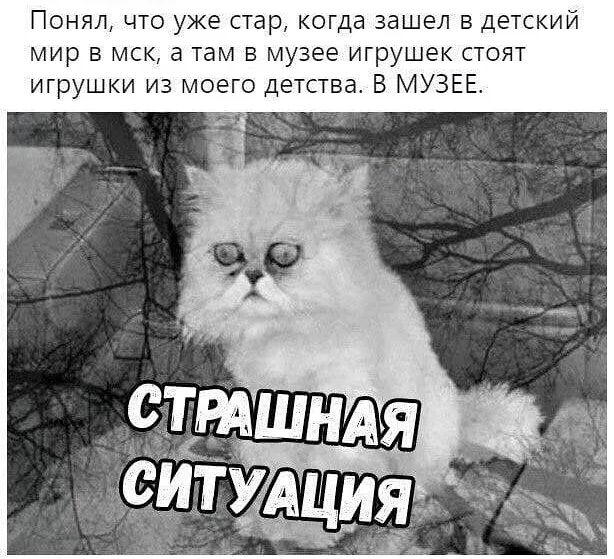 Понял что уже стар когда зашел в детскии мир в мск а там в музее игрушек стоят игрушки из моего детства В МУЗЕЕ