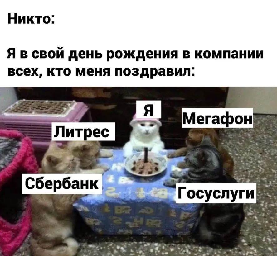 Никто Я в свой день рождения в компании всех кто меня поздравил