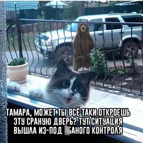 ЗШ БРАННЮ ЛВЕРЪТТЁТЁБИТНАЦИЖ ВЫШАА ИЗ ППЛ АНПГП КПНТРПАЯ