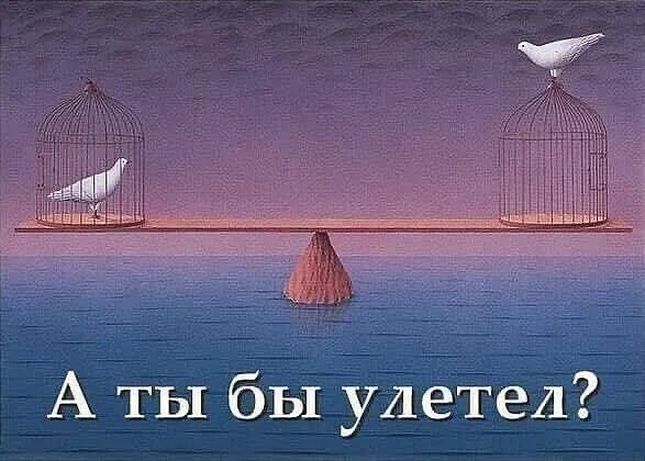 А ТЫ бЫ улетел