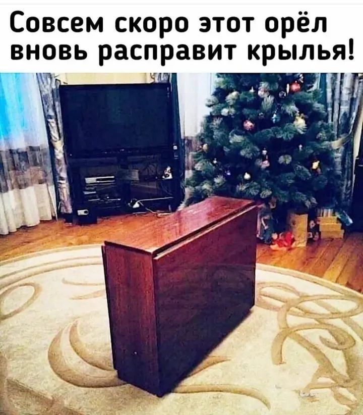 Совсем скоро этот орёл вновь расправит крылья д 4