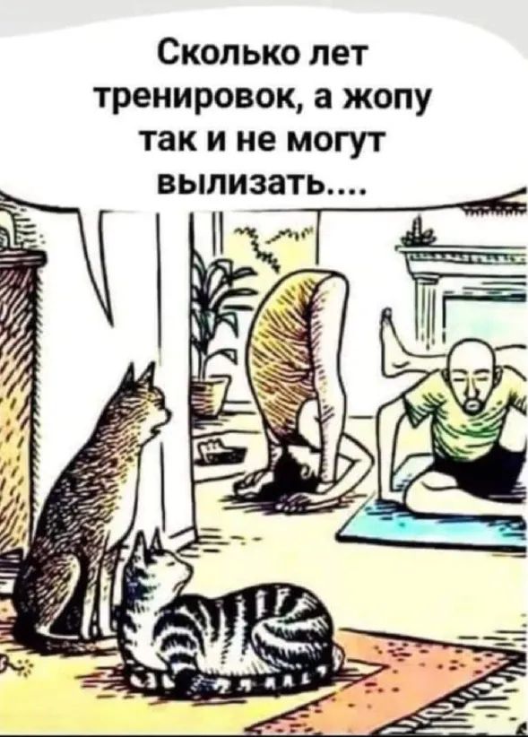 Сколько лет тренировок а жопу так и не могут вылизать