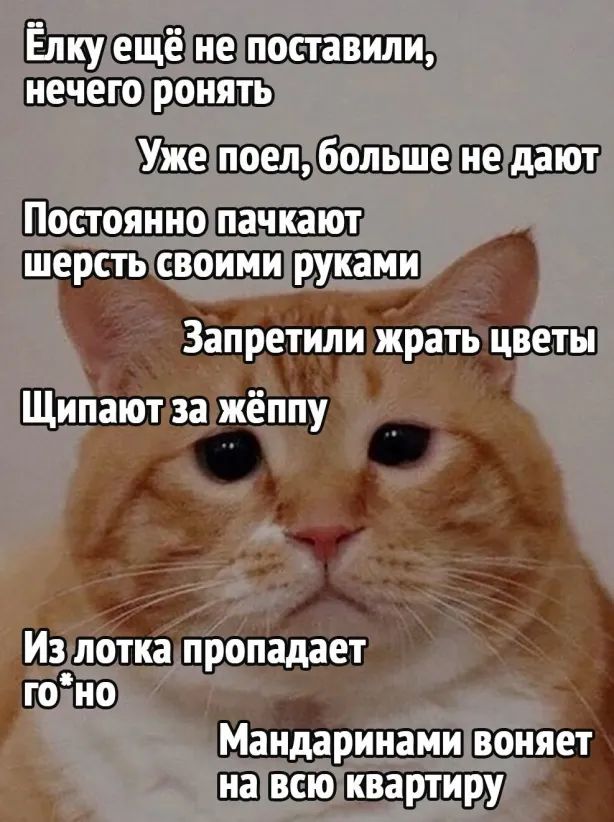 _ Ш ЩШШЕЕВ г 3 пропадает