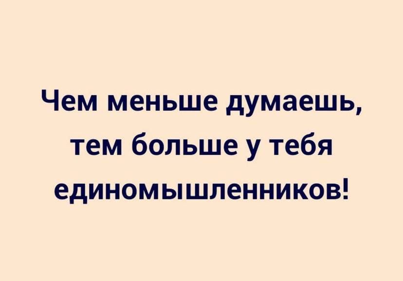 Чем меньше думаешь тем больше у тебя единомышленников