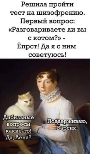 Решила пройти тест на шизофрению Первый вопрос Разговарнваете Ш ЕЬХ с котом Ёпрст Да я с ним советуюсь дибильные тирЭры какие то Да Лена