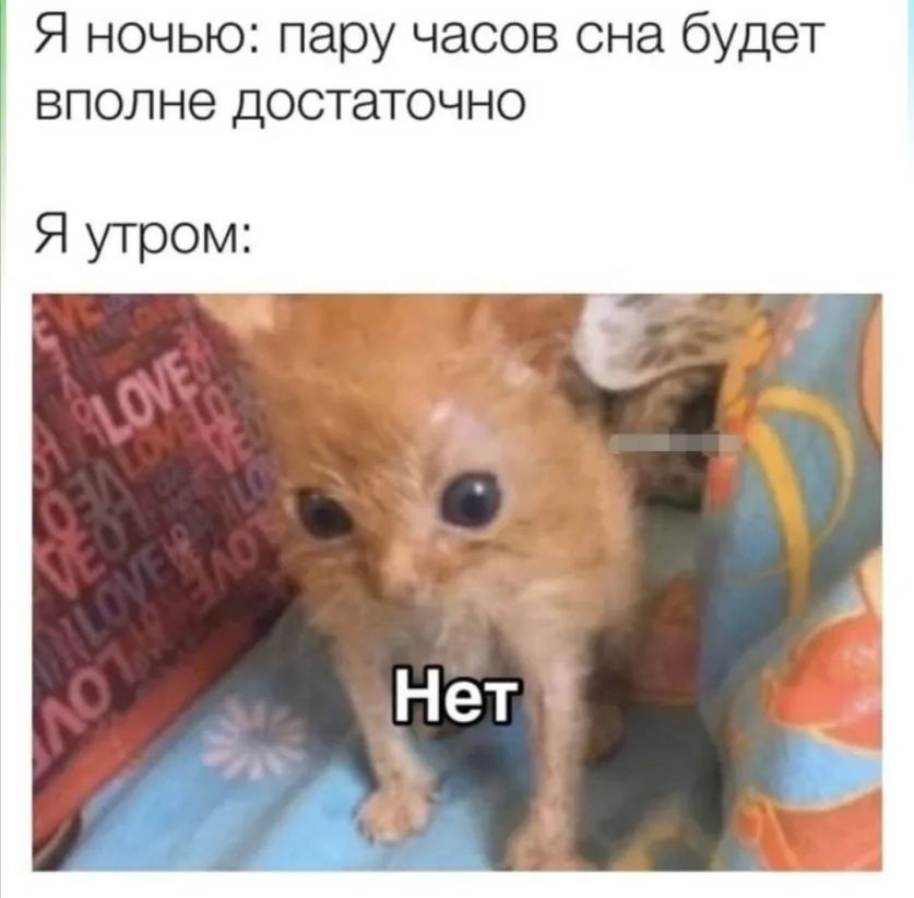 Я ночью пару часов она будет вполне достаточно Я утром