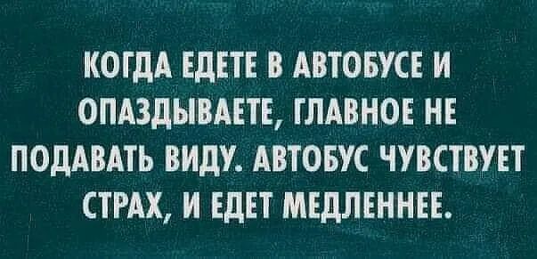 КОГДА ЕдЕТЕ В АВТОБУС И ОПАЗДЫВАЕТЕ ГЛАВНОЕ НЕ ПОДАВАТЬ ВИДУ АВТОБУС ЧУВСТВУЕТ СТРАХ И ЕдЕТ МЕДЛЕННЕЕ