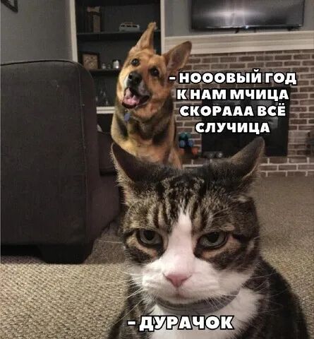 Пое а  ж  гскоралавсё т очслучица  рр ш.  Оат леза :  эх