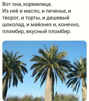 Вот она кормилица Из неё и маслом печенье и творог и торты и дешевый шоколад и майонез и конечно пломбир вкусный ппомбир