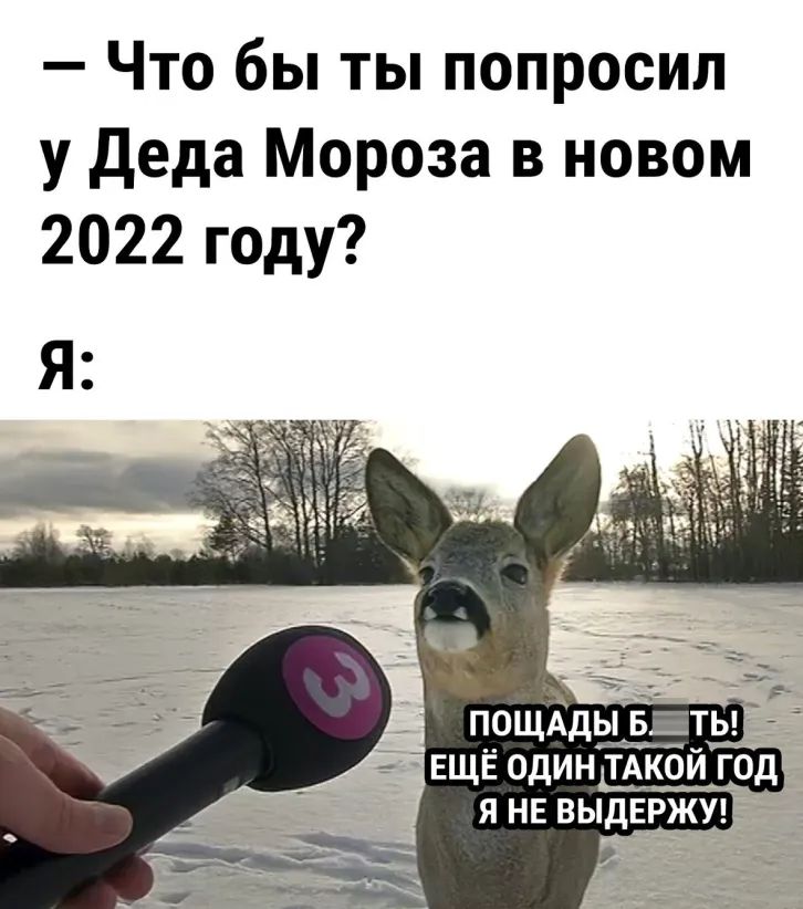 Что бы ты попросил у деда Мороза в новом 2022 году
