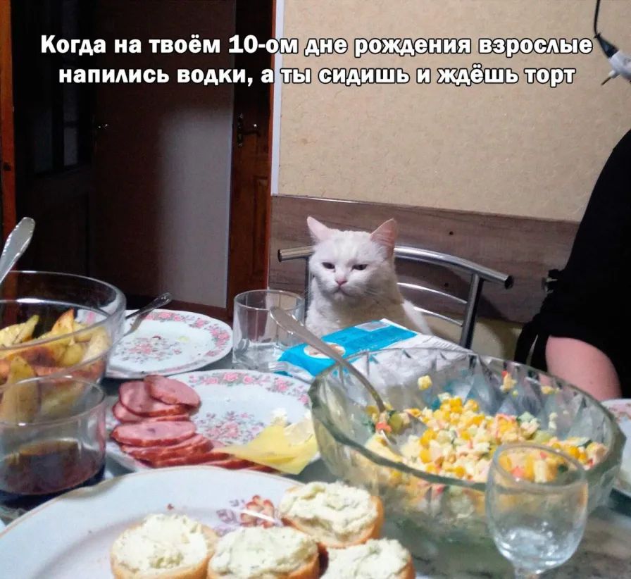 Когда на твоём 10 ом жк напились водки а Ш