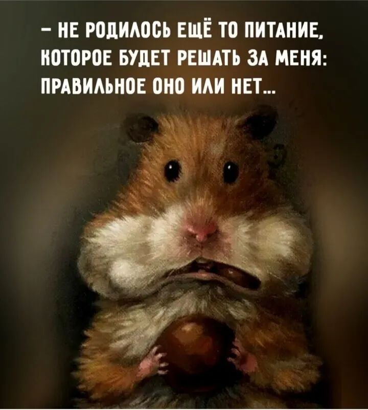 не Роппось ЕЩЁ то ПИТАНИЕ поторов БУДЕТ рвшдть зд МЕНЯ пмвидьнов оно иди нвт