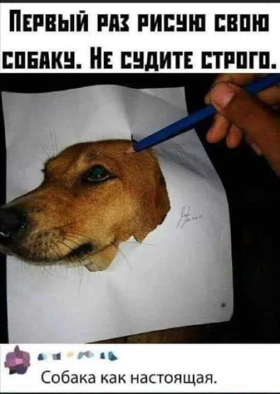 ШЕМШ НЕ ШдИТЕ БТРПГП _ А 1 Собака как настоящая