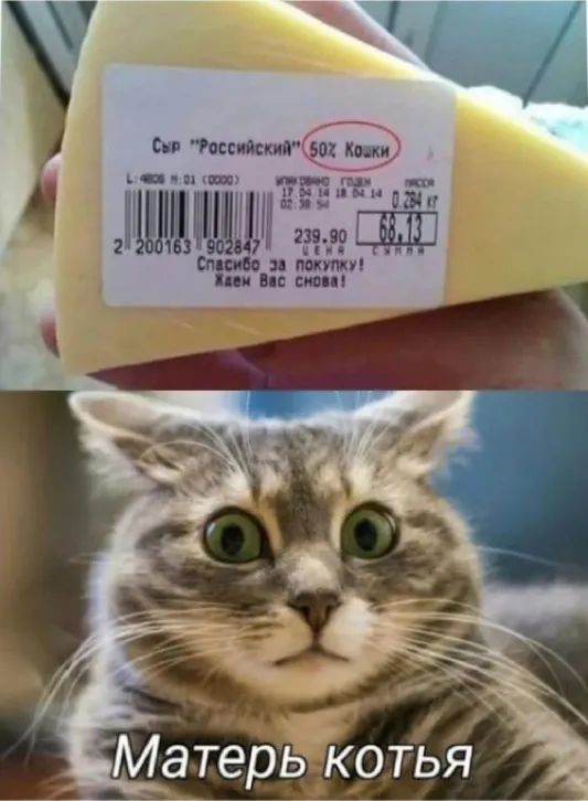 _ Сп пп ост ъчп гид иш идиш Г в