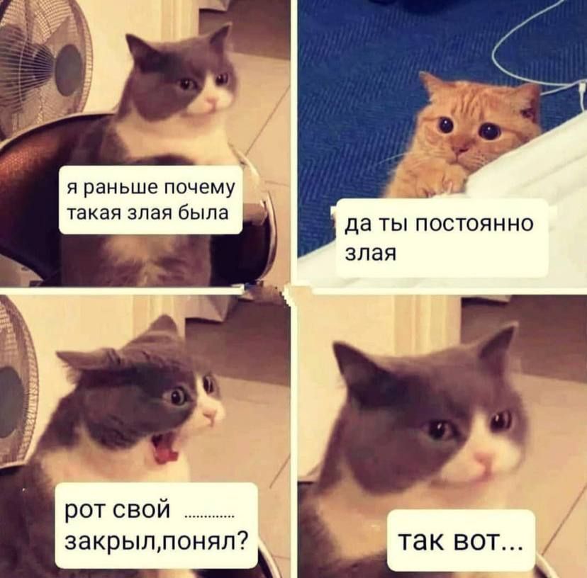 я раньше почеМУ _ такая злая была да ты ПОСТОЯННО злая Ё рот свой закрылпонял