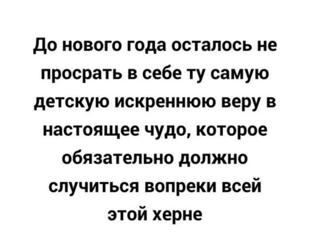 до нового года осталось не просрать в себе ту самую детскую искреннюю веру в настоящее чудо которое обязательно должно случиться вопреки всей этой херне