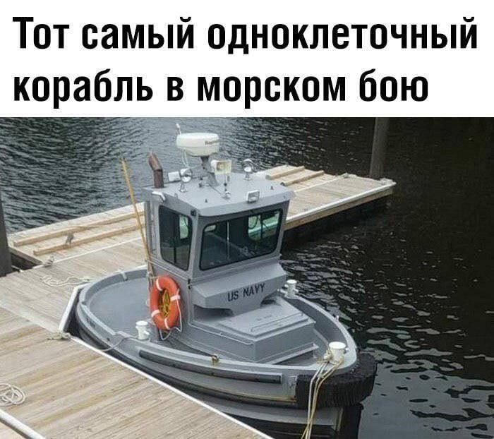 Тот самый одноклеточный корабль в морском бою