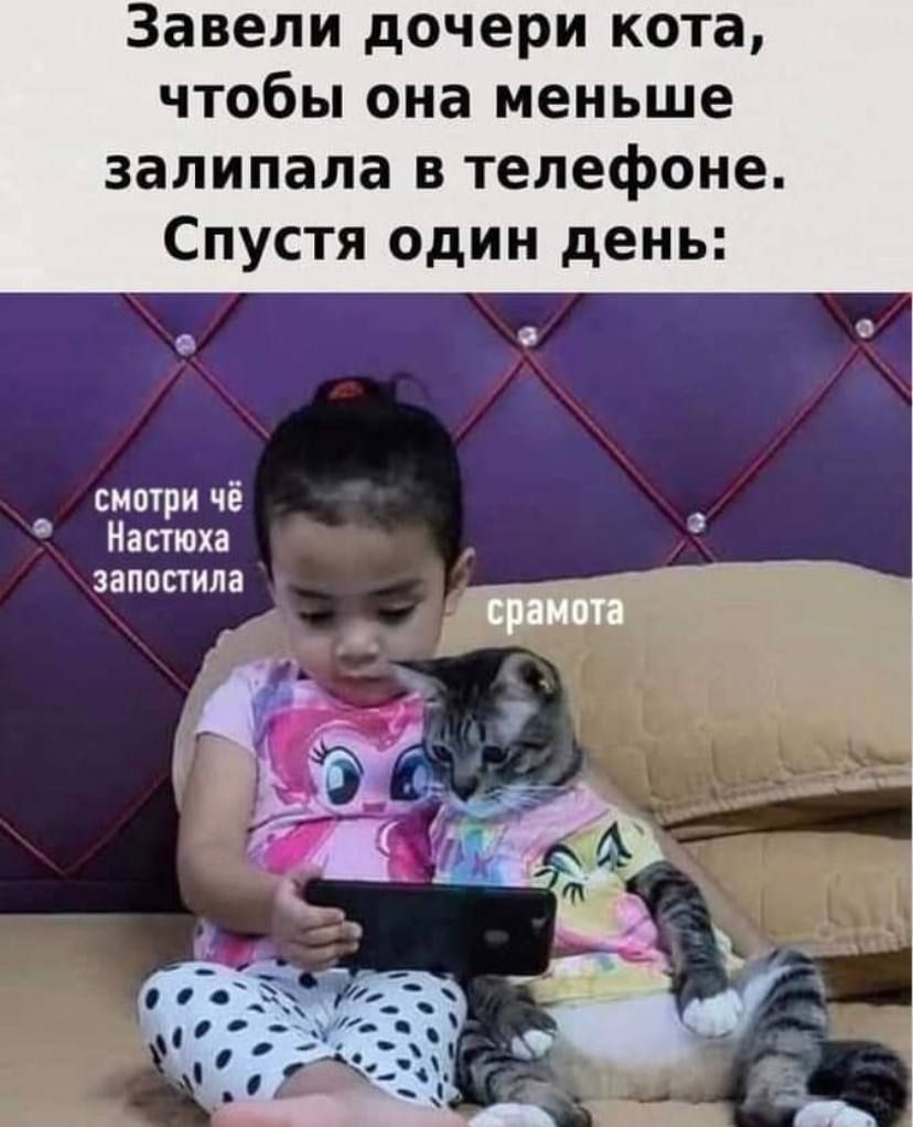Завели дочери кота чтобы она меньше залипала в телефоне Спустя один день смотри чё Настюха запостила