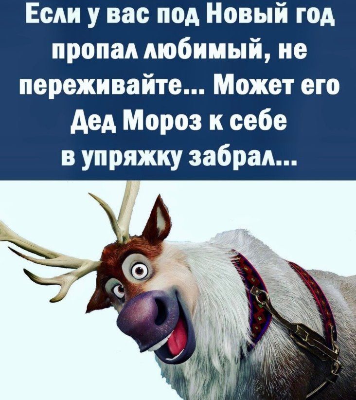 Если у вас под Новый год пропал любимый не переживайте Может его дед Мороз к себе в упряжку забрал