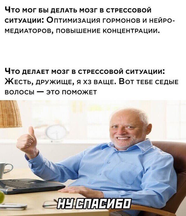 ЧТО МОГ БЫ дЕЛАТЬ МОЗГ В СТРЕССОВОЙ СИТУАЦИИ ОПТИМИЗАЦИЯ ГОРМОНОВ И НЕЙРО МЕДИАТОРОВ ПОВЫШЕНИЕ КОНЦЕНТРАЦИИ Что дЕЛАЕТ мозг в стрвссовой СИТУАЦИИ Жесть дружище я хз ВАЩЕ Вот ТЕБЕ свдыв волосы это поможет