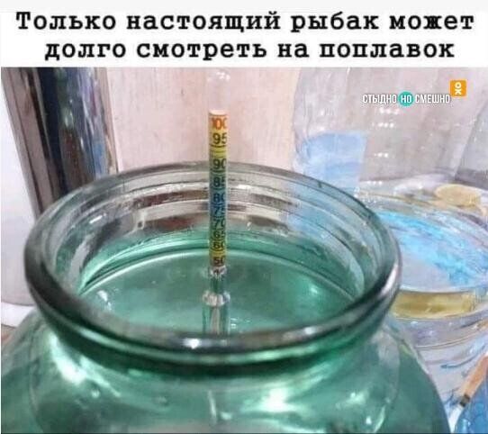 Только настоящий рыбак может долго скотреть на поплавок