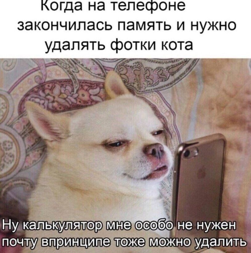закончилась память и нужно удалять фотки кота 5 Ну калькулятор Клне Ёдо не нужен почту впринципе тоже можно удалить