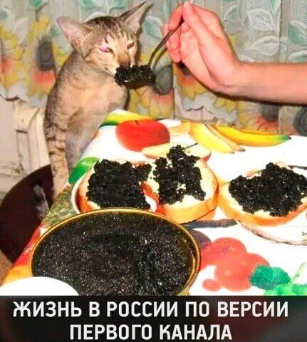 ЖИЗНЬ В РОССИИ ПО ВЕРСИИ ПЕРВОГО КАНАЛА