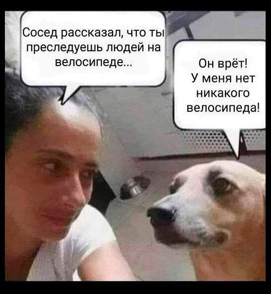Сосед рассказал что ты преследуешь людей на велосипеде Он врёт У меня нет никакого велосипеда