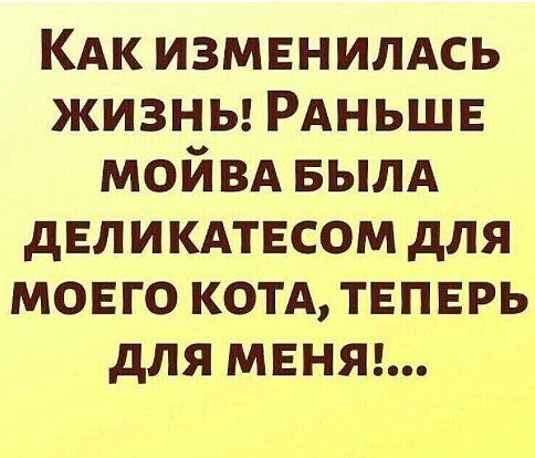 КАк измвнилдсь жизны РАНЬШЕ мойвд БЫЛА двликдтвсом для моего котдтъпврь для мвняг