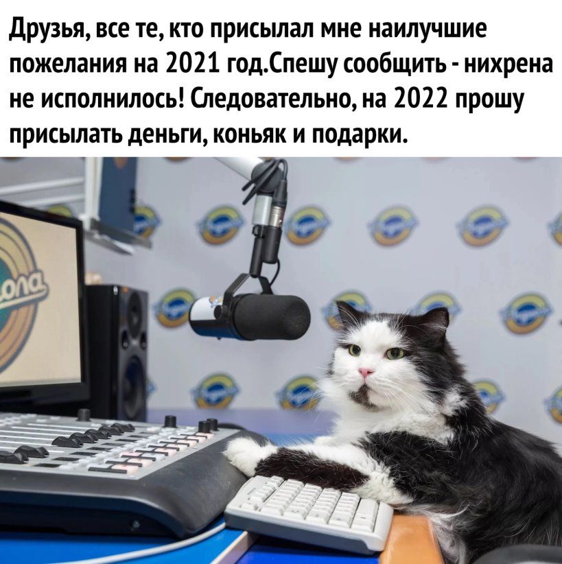Друзья все те кто присылал мне наилучшие пожелания на 2021 годСпешу сообщить нихрена не исполнилось Следовательно на 2022 прошу присылать деньги коньяк и подарки