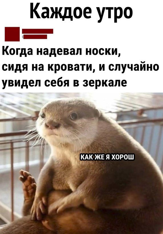 Каждое утро Когда надевал носки сидя на кровати и случайно увидел себя в зеркале