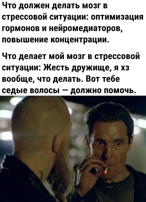 Что должен делать мозг в стрессовой ситуации оптимизация гормонов и нейромедиаторов повышение концентрации Что делает мой мозг в стрессовой ситуации Жесть дружище я хз вообще что делать Вот тебе седые волосы должно помочь
