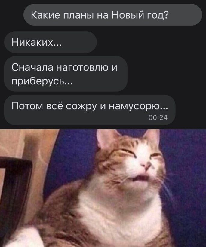 Какие планы на Новый год Никаких Сначала наготовлю и приберусь Потом всё сожру и намусорю 00324