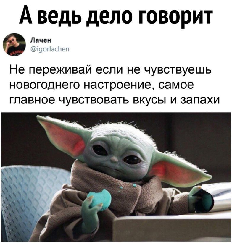 А ведь дело говорит Лачен З тспаспеп Не переживай если не чувствуешь новогоднего настроение самое главное чувствовать вкусы и запахи