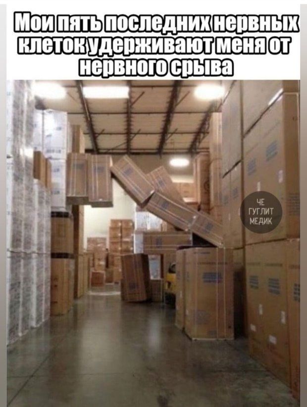 _ __шгшпсш