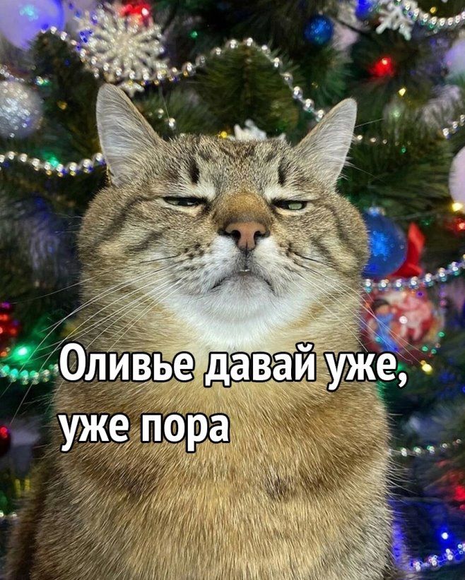 0ливье даваиуж уЖеп