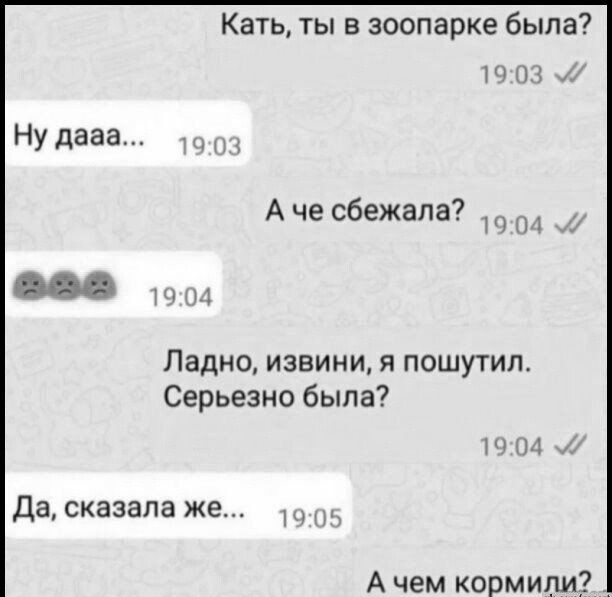 Кать ты в зоопарке была Н_ Ну дааа А че сбежала 4 Ладно извини я пошутипо Серьезно была МММ Дасказалаже А чем кормили _